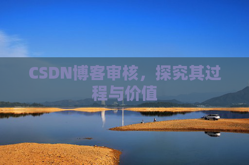 CSDN博客审核，探究其过程与价值